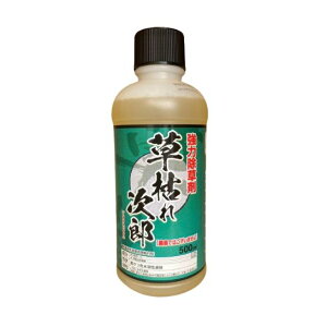 ͂ꎟYi_knpj500ml×20{