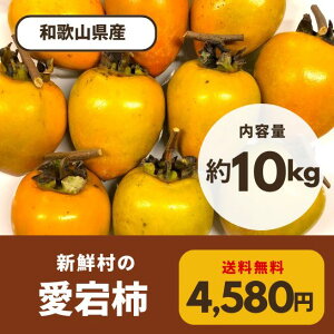 yzVN̈`i`E邵`pj10kg