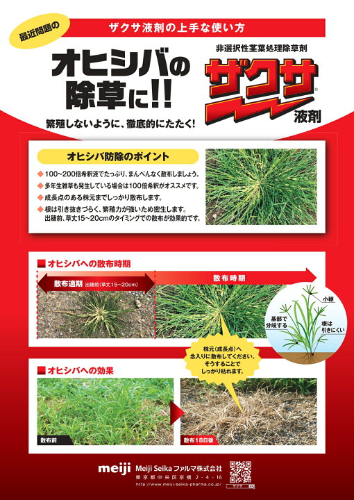 楽天市場 ザクサ液剤 2l 山東農園 楽天市場店 楽天市場 ザクサ液剤 2l 山東農園 楽天市場店