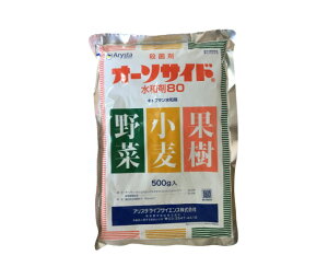 I[\TCha80 500g