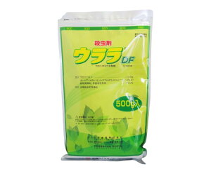�E����DF 500g
