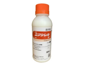 GNVSE 500ml