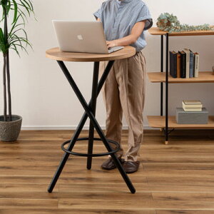 iFNXbO Ehe[u 60 H96.5cm ynCe[u o[e[u _CjOe[u ۃe[u fXN ce[u STEC ItBX JtF ~` VR 89 X^CbV 