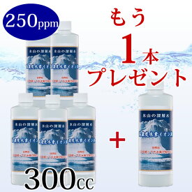 水素水 飲料 水素が抜けない 日本製 高濃度 水素 美容 水素イオン液 250ppm300cc 5本セット 高濃度水素水 水 健康 お水 エイジングケア 国産 ストレス ご購入で 高濃度水素水 250ppm 300cc 1本 プレゼント 送料無料 ペット 水素水