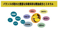 バランスの取れた豊富な多様多彩な春ウコンの精油成分とミネラル