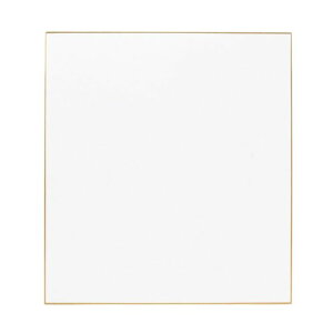 F |@273x242mmyiԁFS016z@10(OPPܓ)