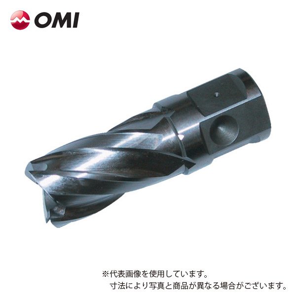 OMI 数量は多 大見工業 人気海外一番 ライトボーラー用刃物 HCSQ240