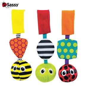 Sassy(�T�b�V�[) �L�����[�E�E�B�Y�E�o�O�Y