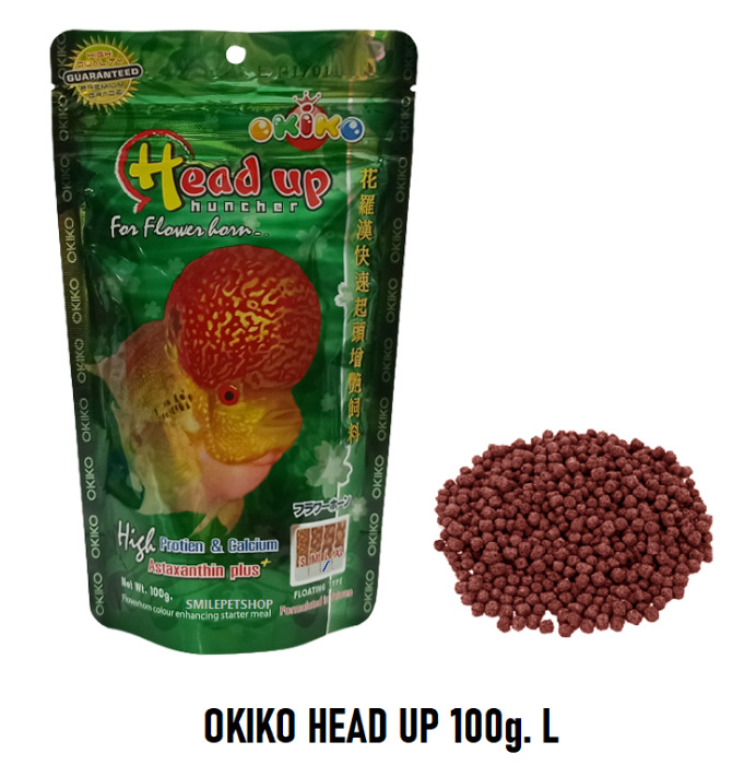 OKIKO HEAD UP 100g L オキコ ヘッドアップ フラワーホーン コブ用 エサ 熱帯魚 アクアリウム