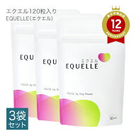 エクエル パウチ 120粒 3個セット エクオール 送料無料 大塚製薬 4粒で10mgのエクオール配合（1日の目安…