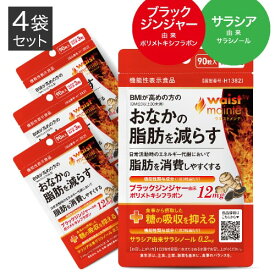 [ダブル W 機能性表示食品 医師監修] ブラックジンジャー と サラシア サラシノール ヒハツ サプリメント BMIが高めの方の お腹の脂肪を減らす 脂肪 を消費しやすくなる 食事の糖の吸収を抑える 糖分 血糖値 ウエストメンテ 4袋セット 脂肪燃焼 [メール便]