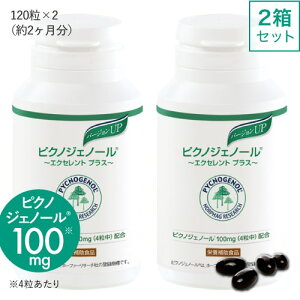 �s�N�m�W�F�m�[�� �G�N�Z�����g�v���X[2���Z�b�g]�y60�����E240���z[pycnogenol 2cs] [fs01gm]�y�������߁z