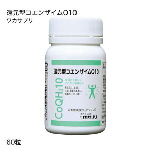 JTv Ҍ^RGUCQ10 60y߁z