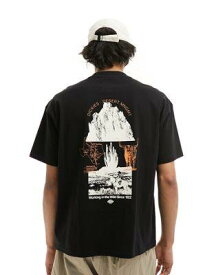 ディッキーズ Dickies pearisburg back print t-shirt in black メンズ