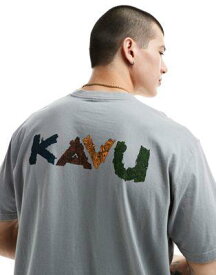 KAVU カブー Kavu botanical logo front t-shirt in grey メンズ