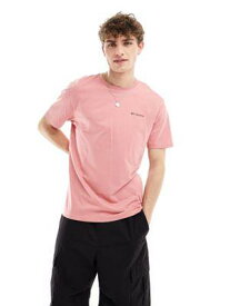 コロンビア Columbia North Cascades back print t-shirt in pink メンズ