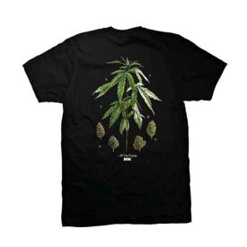 ディジーケー DGK Dirty Ghetto Kids Botanical Society Short Sleeve Tee (Black) T-Shirt メンズ