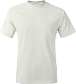 Hanes Mens Short Sleeve Tee Authentic-T T-Shirt 5250T メンズ