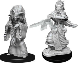 WizKids W14 Night Hag & Dusk Hag 90239 Nolzur's Marvelous Miniatures D&D