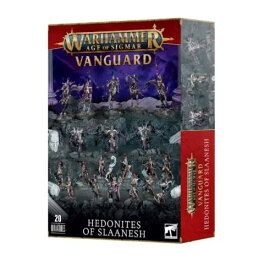 Games Workshop Vanguard Hedonites of Slaanesh Warhammer AOS Age of Sigmar