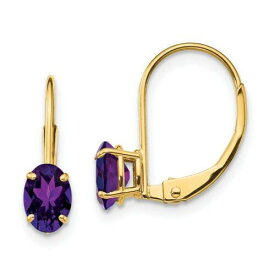 Jewelry Women's Earrings 14k Yellow Gold 0.42 ct Oval Amethyst Leverback 16 mm レディース