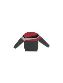 ALFANI Mens Red Striped Crew Neck Classic Fit Cotton Pullover Sweater XL メンズ