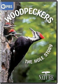 【輸入盤】PBS (Direct) NATURE: Woodpeckers - The Hole Story [New DVD]