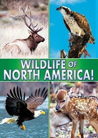 【輸入盤】World Wide Multi Med Wildlife of North America [New DVD]