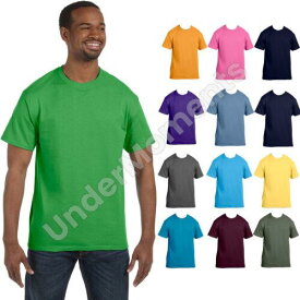 Hanes Mens Short Sleeve Tee 100% Cotton Authentic-T T-Shirt S-3XL 5250T メンズ