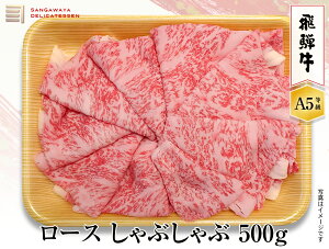 yˋ A5z[XԂԁ@500g@I@@̓Mtg ̓   a5 EΕEG߂̃MtgEjEjEEav[g