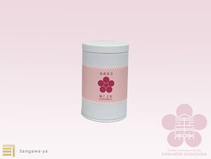 yˍRz~Ԓ@X߁@@eB[obO@t@ʁ@ˍR@Ȃׂܖ@X