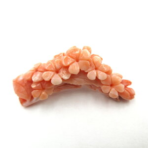 sNX u[`  TS R[ sango coral {X F ΎX  ANZT[ WG[ Mtg v[g