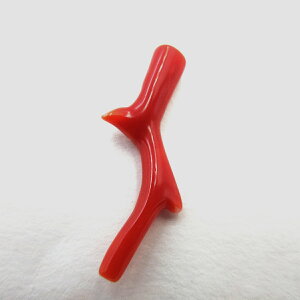 血赤珊瑚 土佐沖 枝 パーツ ルース 赤 素材 手作り オリジナルアクセサリー さんご サンゴ コーラル sango coral 本珊瑚 無染色 宝石珊瑚 高知県産 お守り