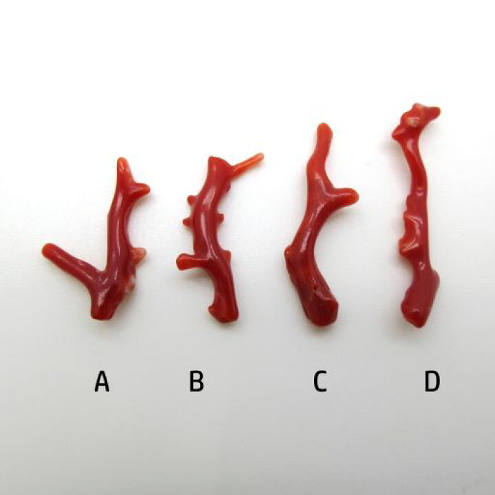 楽天市場】血赤珊瑚 土佐沖 枝 パーツ ルース 赤 素材 手作り  