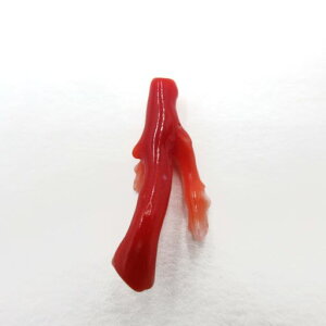 ԎX y } p[c [X  f  nhCh IWiANZT[  TS R[ sango coral {X F ΎX mY