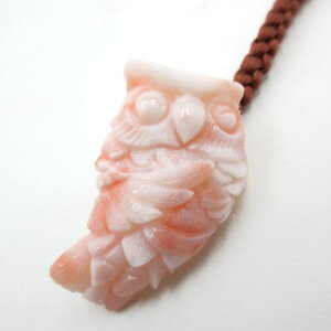 sNX t tNE  N   TS R[ sango coral {X F ΎX q̓ ЂȍՂ [߂̐ߋ  Mtg v[g Ԃ o^Cf[ z