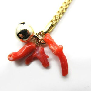 yiIz ԎX } 3{ t y  TS R[ sango coral {X F ΎX v[g J^  L[z_[ ڈ mY q̓ ЂȍՂ [߂̐ߋ Mt