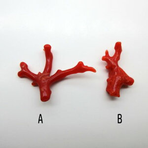 ԎX y } p[c [X  f  nhCh IWiANZT[  TS R[ sango coral {X F ΎX mY 