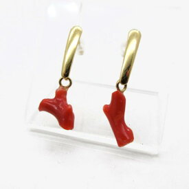 血赤珊瑚 ピアス 枝 カラーグレード3.5 揺れる 土佐沖 SUS316 金属アレルギー対応 さんご サンゴ コーラル sango coral 本珊瑚 無染色 宝石珊瑚 高知県産 お守り アクセサリー ジュエリー ギフト プレゼント シンプル