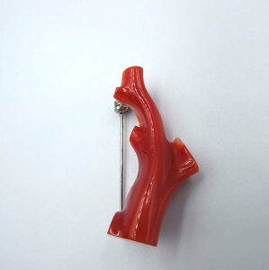 yԎX u[` }   TS R[ sango coral {X F ΎX  mY Mtg v[g ANZT[ WG[