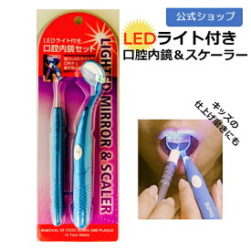 公式｜LEDライト付き 口腔内鏡 セット ミラー ピック スケーラー デンタルミラー 家庭で 虫歯ケア キッズ 仕上げ磨き チェック 歯科用 ミラー 曇り止め 歯鏡 家庭用 自宅