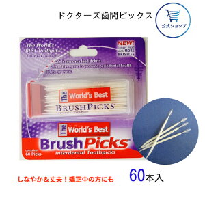 y}\|Cg10{zbhN^[Y ԃsbN 60{ ubVsbNX brushpicks ԃuV a  \h I[PA e͐̂ ɍ sbN   `