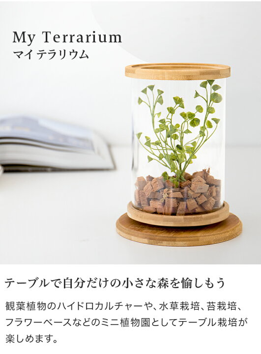 楽天市場 ミニ水槽 アクアリウム 水草ガラス水槽 観葉植物の鉢 円柱 丸い ミニ水槽 かわいい 小さい 小さな熱帯魚 ポット 容器 おしゃれ 約15cm ハイドロカルチャー用 エアプランツや苔の栽培 ボトル園芸 コケリウム 苔テラリウム ワンルーム 新築祝いの贈り物に