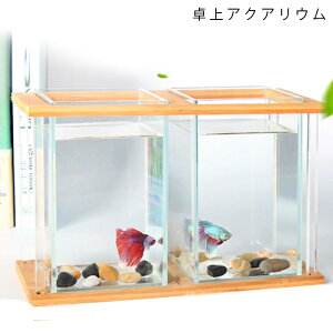 水槽 おしゃれの人気商品 通販 価格比較 価格 Com