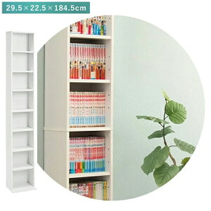 12/01()00:00`ő2000~OFFN[|zz {I CD[ DVD[ XbN 29.5 s22.5 184.5 I[v{I 7i I X DVD R~bN e uE i` zCg