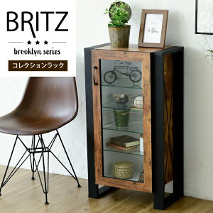 �R���N�V�������b�N �I ���� 90cm ���I ����I �f�B�X�v���C ���t�� �K���X �� �K���X�I �A���e�B�[�N�� �C���_�X�g���A�� �t�B�M���A �����K���X ���� ���[