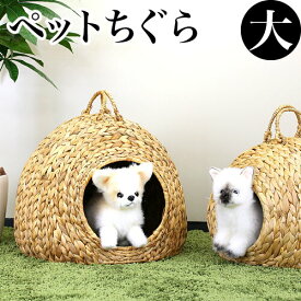 楽天市場 雪 ハウス 犬小屋 犬小屋 ケージ ゲート 犬用品 ペット ペットグッズの通販 楽天市場 雪 ハウス 犬小屋 犬小屋 ケージ ゲート 犬用品 ペット ペットグッズの通販