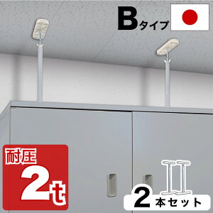 yX[p[SALE zy6ۏؕtzψς_y悠z B^Cv 42cm-65cm 2{Zbg ς_   nk ]|h~ ˂_ hЃObY Lk_ ϐk |[ 