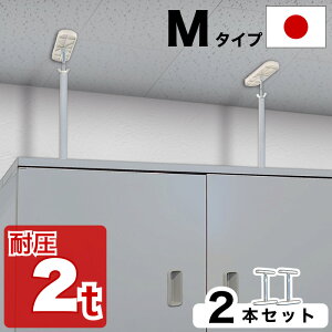 yyVX[p[SALEQzψς_ M^Cvy悠z 25cm-32cm 2{Zbg ς_   nk Ƌ]|h~ ˂_ hЃObY ϐk |[ ~j Ƌ]|h