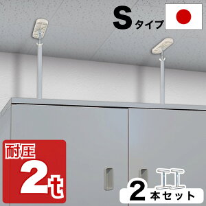 yyVX[p[SALEQzψς_ S^Cvy悠z 20cm-25cm 2{Zbg ς_   nk Ƌ]|h~ ˂_ hЃObY ϐk |[ ~j Ƌ]|h
